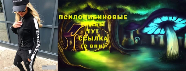 гидра Баксан