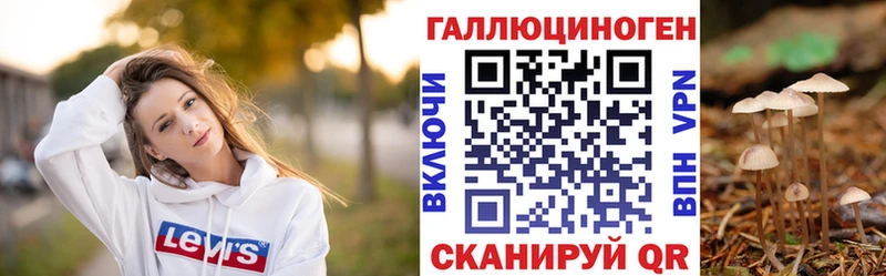 цена наркотик  Верхний Тагил  Галлюциногенные грибы MAGIC MUSHROOMS 